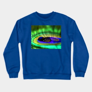 A drop on a feather Crewneck Sweatshirt